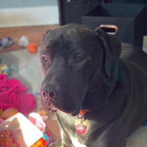 Meet your Posher, Andrea